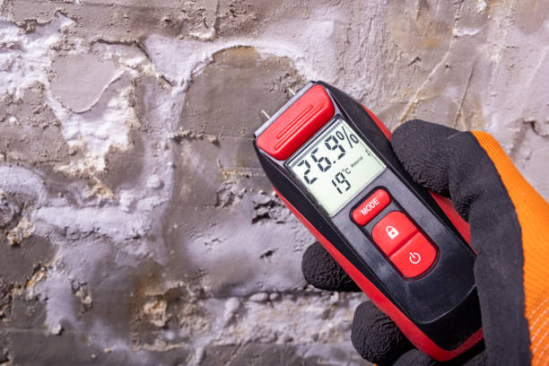 Best Mold Removal Specialists  in Barker Heights, NC