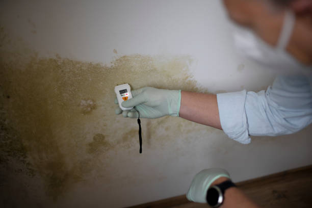 Water Damage Restoration in Barker Heights, NC