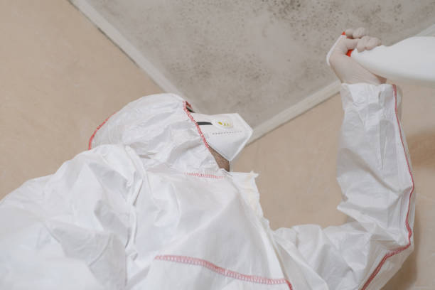 Best Office Mold Removal Services  in Barker Heights, NC